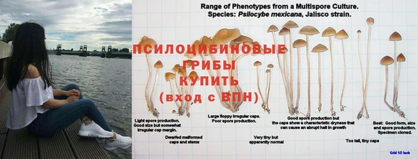 соль курить ск Белоозёрский